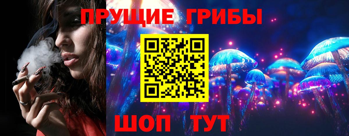 Галлюциногенные грибы Psilocybe  Вход с VPN  Старый Оскол 