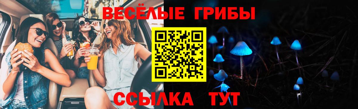 Галлюциногенные грибы Cubensis Старый Оскол